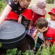 sue-elliott-blog-sustainability