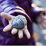 Child-led planning: Starting the Floorbook Approach