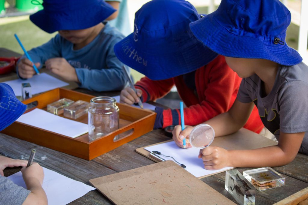 Image of children drawing