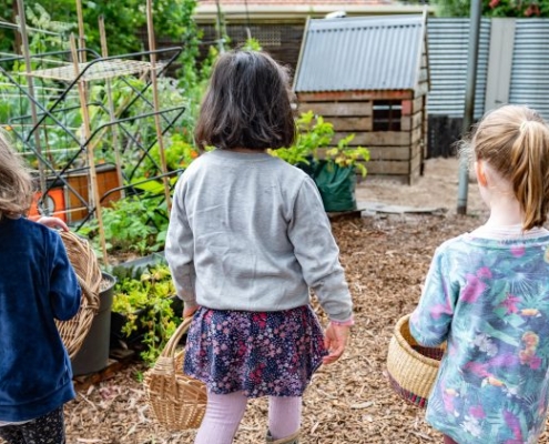 Growing in Early Childhood Education