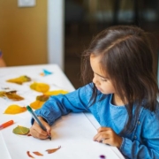 Bonnie-2-main Bonnie-2-main