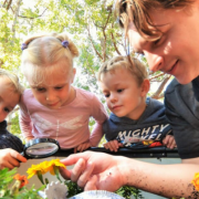 Cole is a rarity in his chosen field