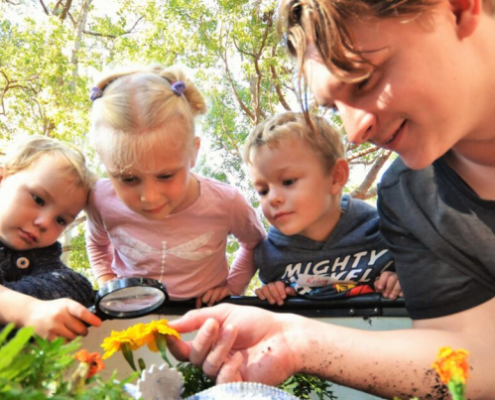 Cole is a rarity in his chosen field