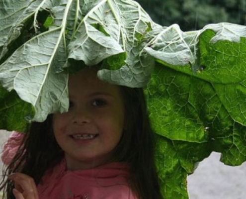 The values we lay in outdoor play
