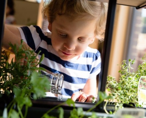 sustainable practice