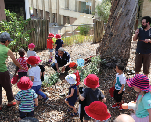 Communicating family diversity and celebrations