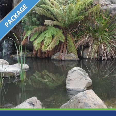 Wellbeing matters professional learning package