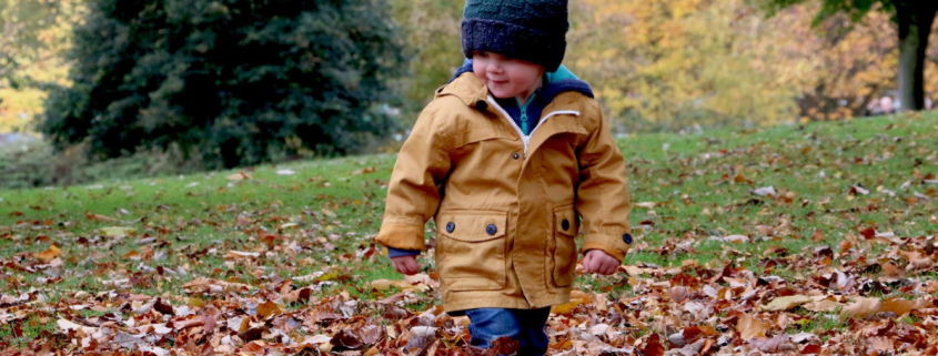 Eight Reggio Emilia ideas to inspire your early learning environment