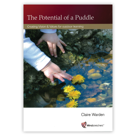 The Potential of a Puddle