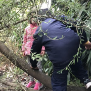 Bush kinder program: taking the classroom and learning outside