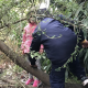 Bush kinder program: taking the classroom and learning outside