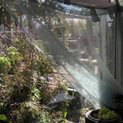 Relationships matter