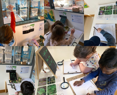 Why Is It Important to Make Children’s Thinking Visible?