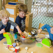 Embracing inclusion—an educator’s experience