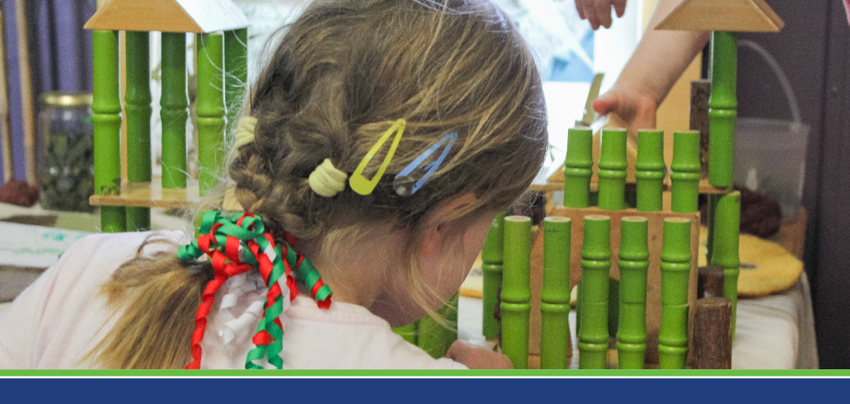 Understanding Brain Development