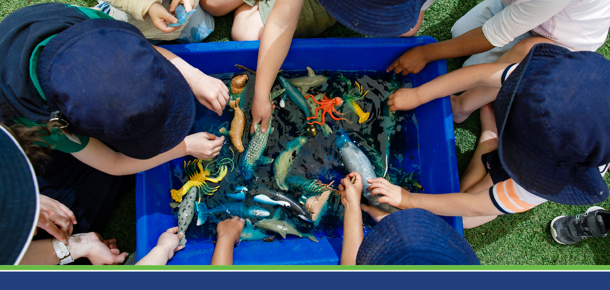 Understanding Brain Development