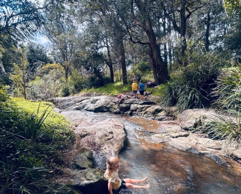 All images have been provided by the author