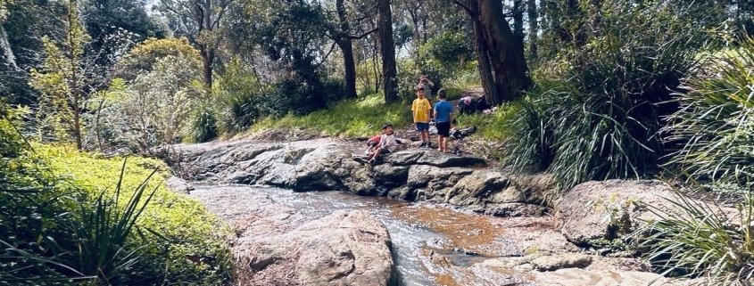 All images have been provided by the author