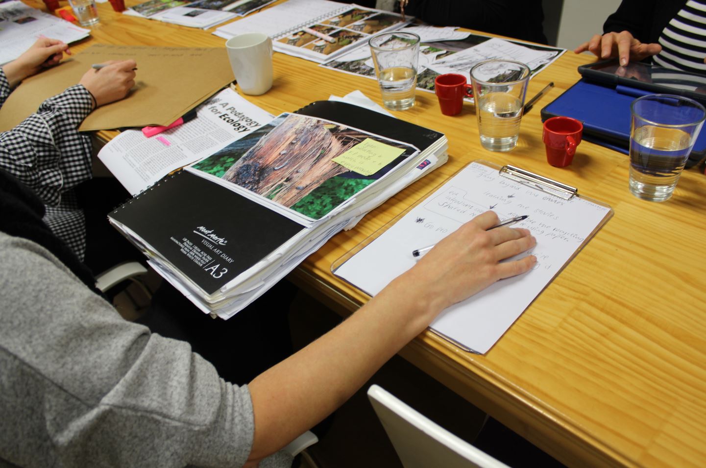 Encounter 3: Teachers and children as researchers