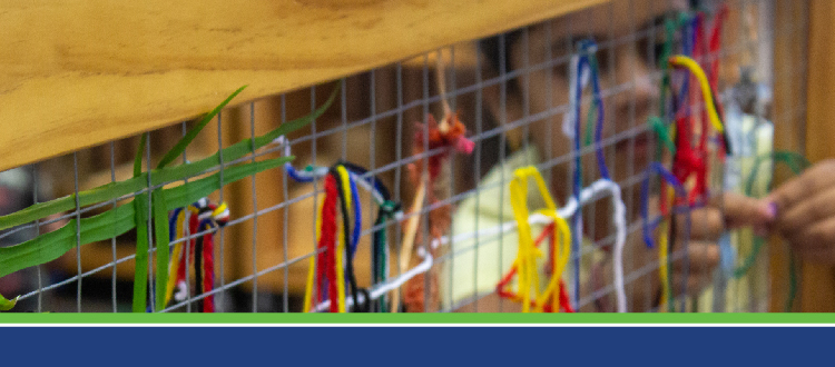 Working in Intercultural Ways